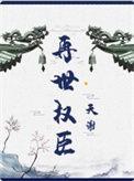 再世权臣百度TXT