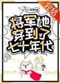 将军她穿到了七十年代格格党