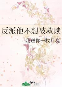 反派他不想被救赎我送你一枚月亮