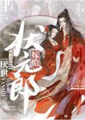 嫁给it