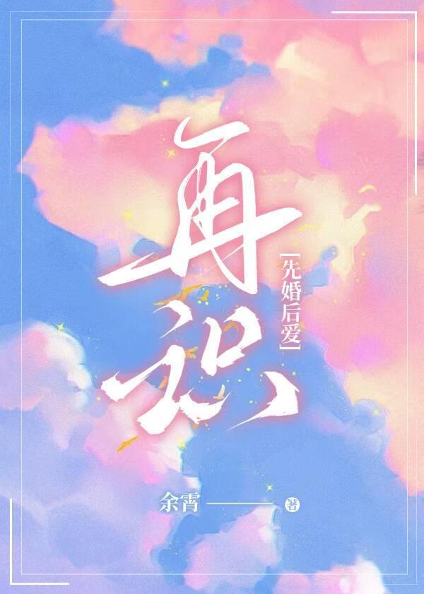 先婚再爱日剧