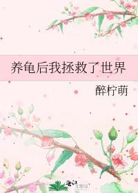 我养了只小乌龟