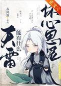天雷smeb