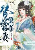 替嫁宠夫