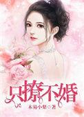 只撩不婚全文阅读