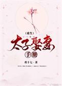 太子娶妃记全文阅读