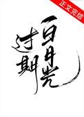 不过白月光