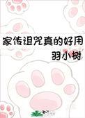 家传诅咒真的好用笔趣阁