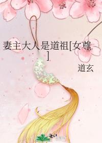 妻主大人是道祖完结了吗