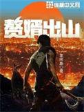 赘婿出山全集
