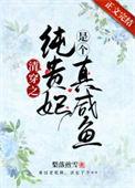 清穿之爷纯皇贵妃