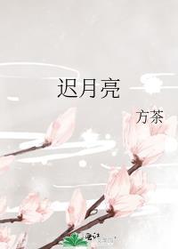 迟月亮全集免费阅读