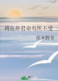 军在外将在外君命有所不受