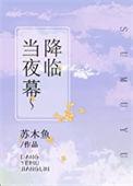 当夜幕降临免费阅读