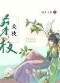 古代药膳手札TXT书包网