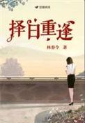 择日重逢十夜灯