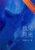就见着月光