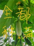 全修真界都把我当团宠txt