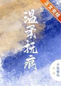 温柔抚痕 夕张蜜瓜