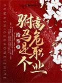 驸马是个高危职业这本多少字
