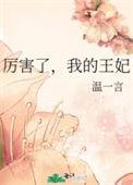 厉害了我的王txt