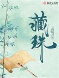 藏珠 完结