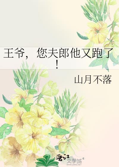 王爷夫人又逃跑了