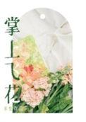 掌上飞花第一次圆房了吗