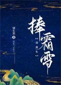 捧霜雪免费阅读