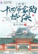清穿十四爷家的娇丫头讲什么