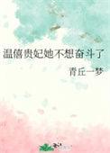 温僖贵妃被盗现场