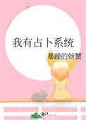 我有占卜系统TXT