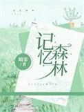 记忆森林歌曲