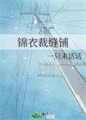 锦衣裁缝铺百度