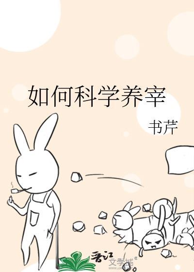 如何科学圈养羊