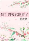 到手的夫君跑走了 榕嬷嬷无弹窗