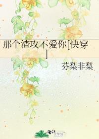 1.攻略那个渣