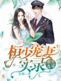 重生九零 桓少宠妻实录