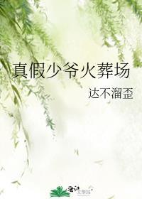 真假少爷火葬场谁攻