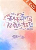 和顶流隐婚后我失忆了松庭