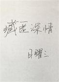 藏匿深情免费阅读