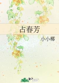 占春芳词牌名介绍