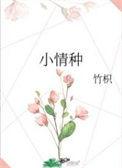 小情种 段斯野