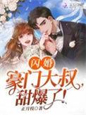 闪婚豪门engelchen