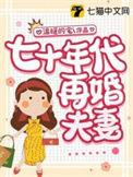 七零年代的二婚妻子