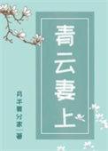 青云妻上27