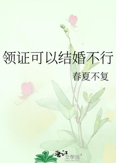领证可以结婚不行笔趣阁