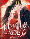 陆少宠妻超甜蜜免费全文免费阅读