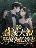 闪婚大叔宠妻免费阅读