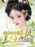 娘娘的奴婢